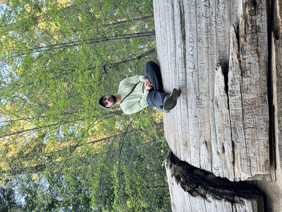 Shrey sitting on a fallen redwood